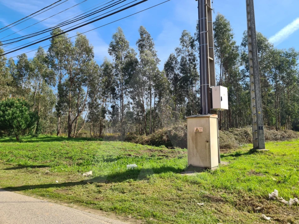 Terreno para Venda em Macinhata do Vouga Foto 12