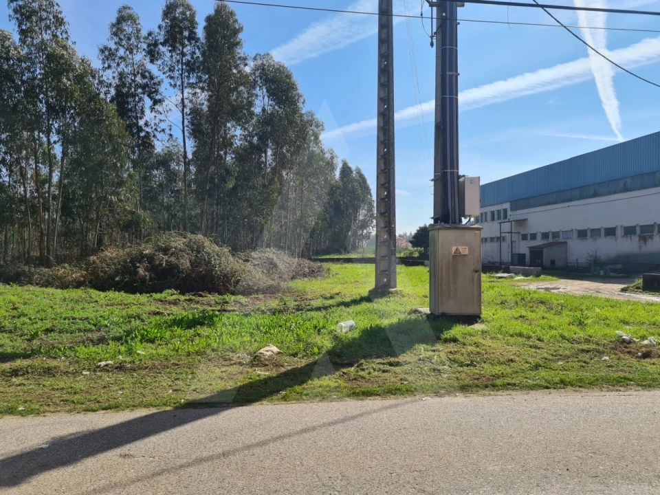 Terreno para Venda em Macinhata do Vouga Foto 17