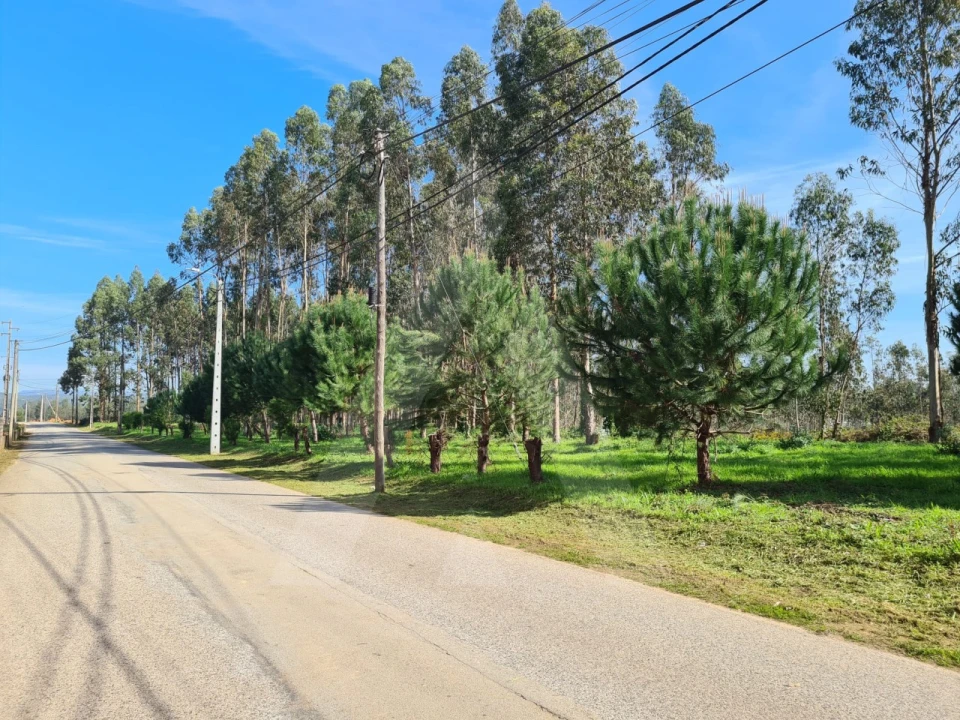 Terreno para Venda em Macinhata do Vouga Foto 21