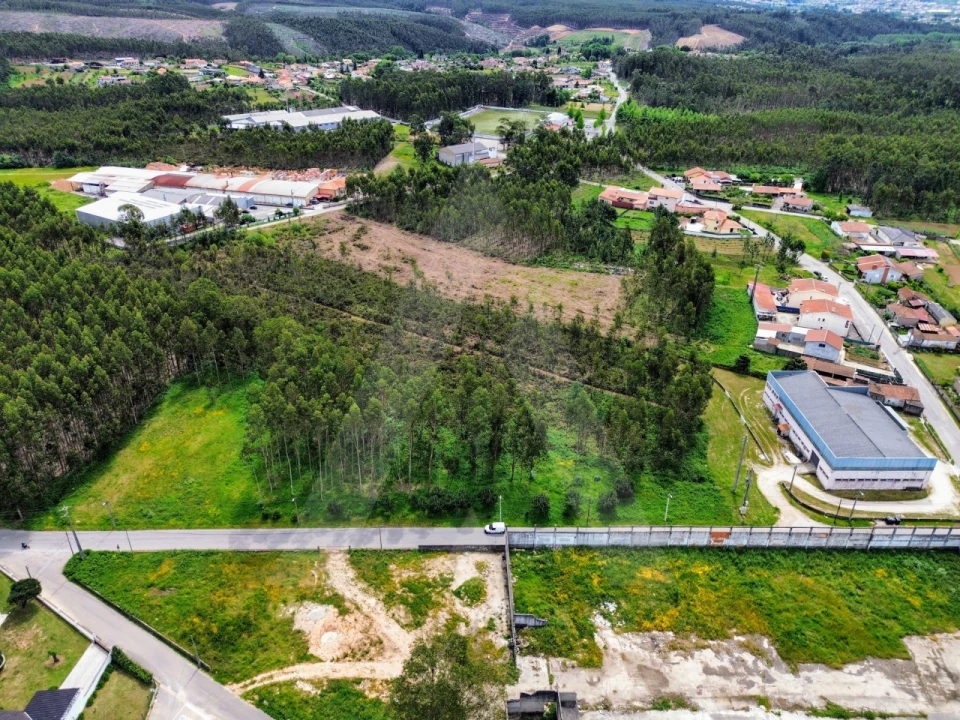 Terreno para Venda em Macinhata do Vouga Foto 1