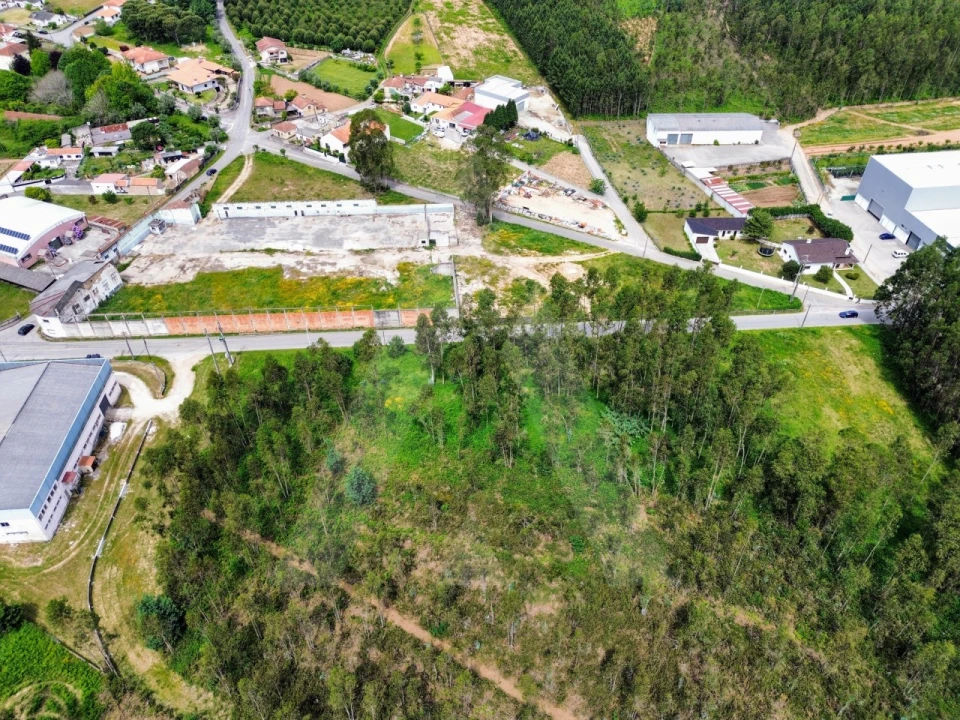 Terreno para Venda em Macinhata do Vouga Foto 4