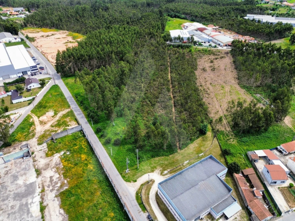 Terreno para Venda em Macinhata do Vouga Foto 8