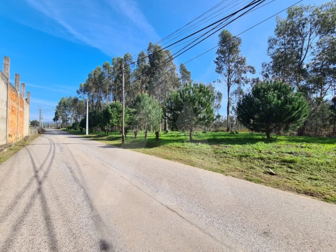 Terreno para Venda em Macinhata do Vouga Foto 10