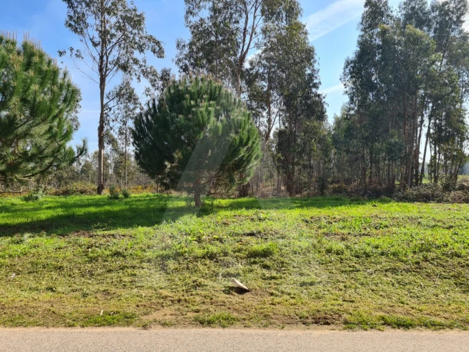 Terreno para Venda em Macinhata do Vouga Foto 15
