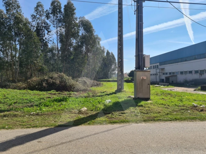 Terreno para Venda em Macinhata do Vouga Foto 17