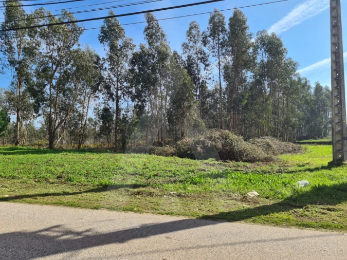 Terreno para Venda em Macinhata do Vouga Foto 20