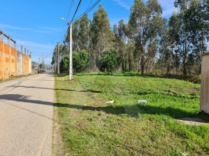 Terreno para Venda em Macinhata do Vouga Foto 22