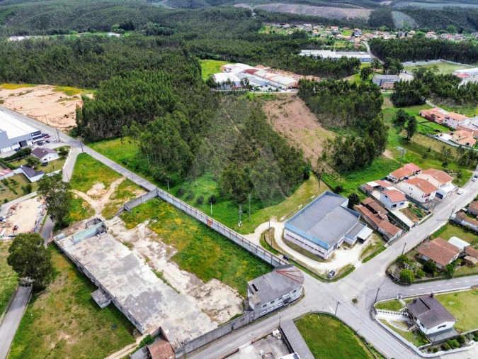 Terreno para Venda em Macinhata do Vouga Foto 3
