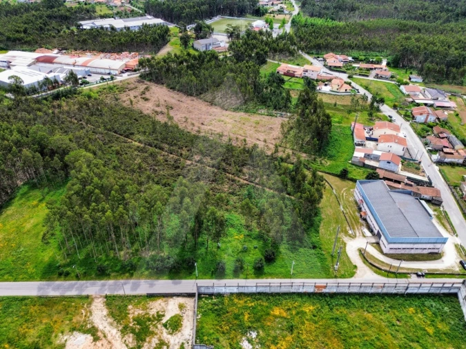 Terreno para Venda em Macinhata do Vouga Foto 7