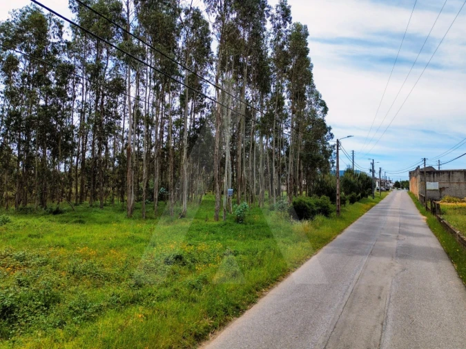 Terreno para Venda em Macinhata do Vouga Foto 14