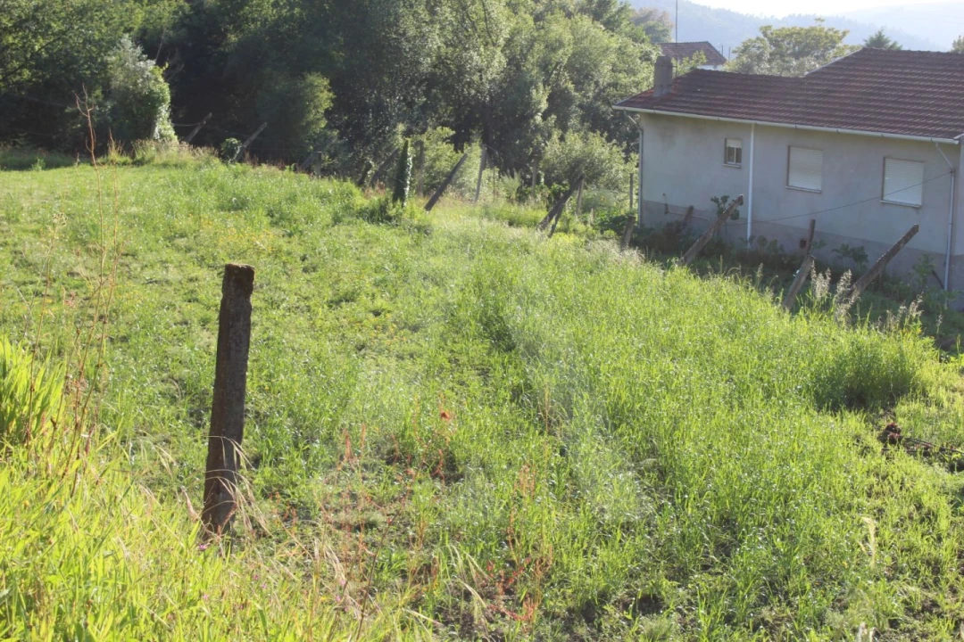 Terreno para Venda em Cedrim e Paradela Foto 4