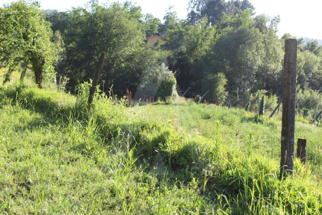 Terreno para Venda em Cedrim e Paradela Foto 8