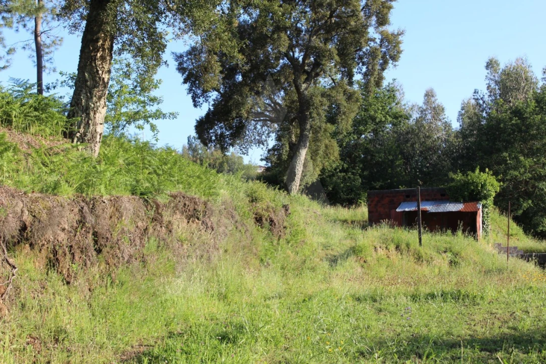 Terreno para Venda em Cedrim e Paradela Foto 9
