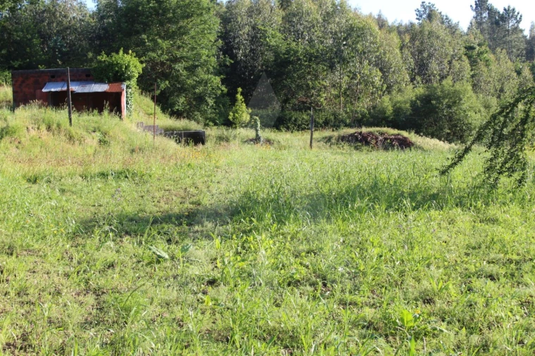 Terreno para Venda em Cedrim e Paradela
