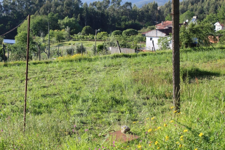 Terreno para Venda em Cedrim e Paradela Foto 2