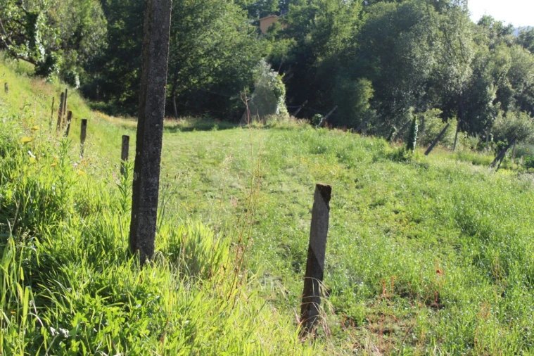 Terreno para Venda em Cedrim e Paradela Foto 3