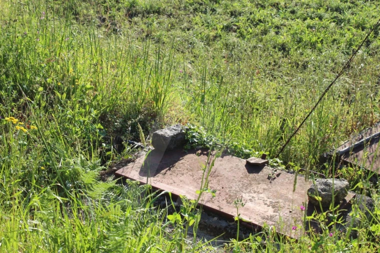 Terreno para Venda em Cedrim e Paradela Foto 5