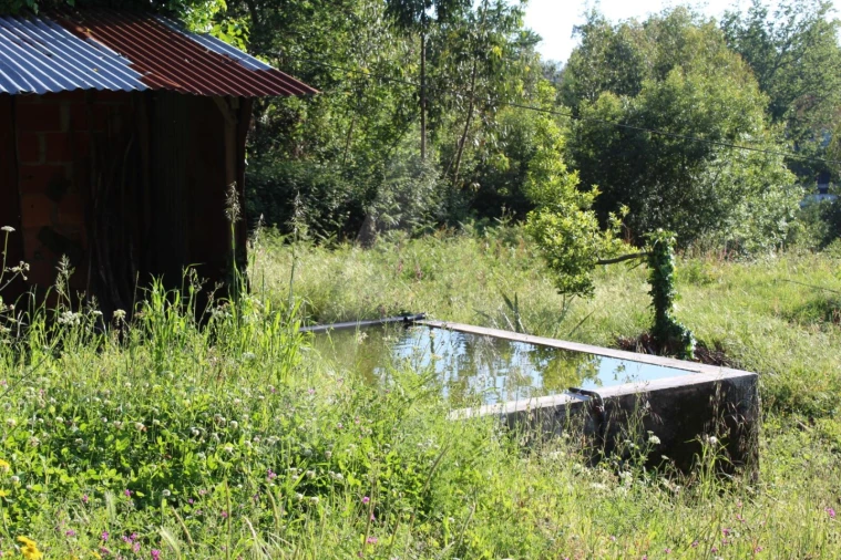 Terreno para Venda em Cedrim e Paradela Foto 6
