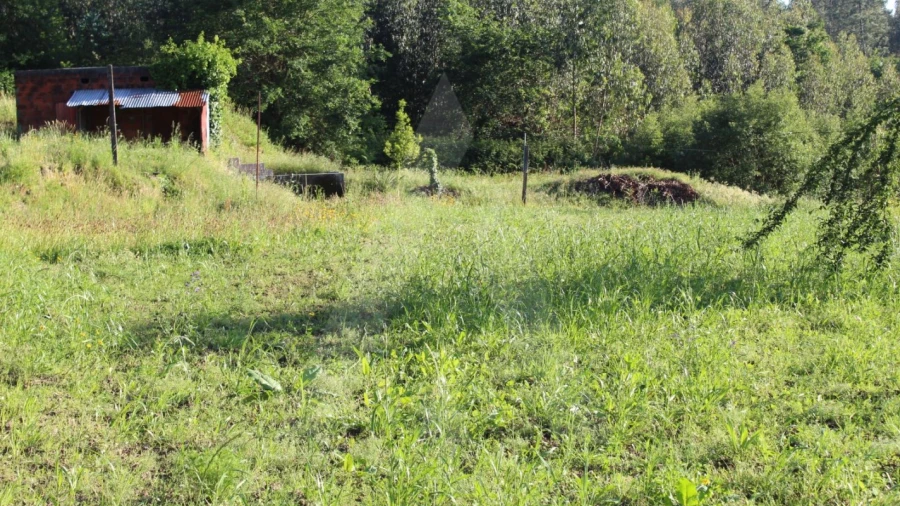 Terreno para Venda em Cedrim e Paradela