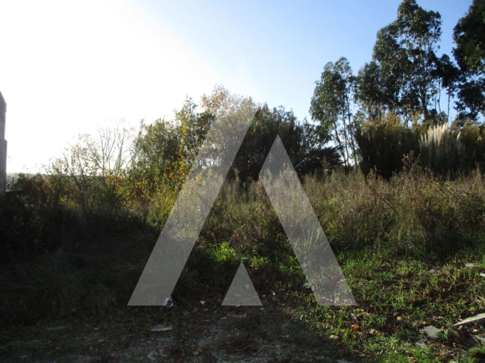 Terreno para Venda em Oliveira do Bairro Foto 1