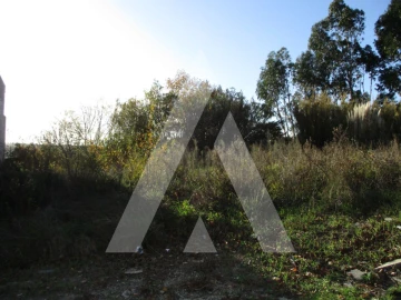 Terreno para Venda em Oliveira do Bairro