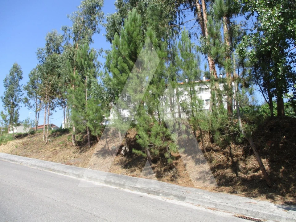 Terreno para Venda em Oliveira do Bairro Foto 2