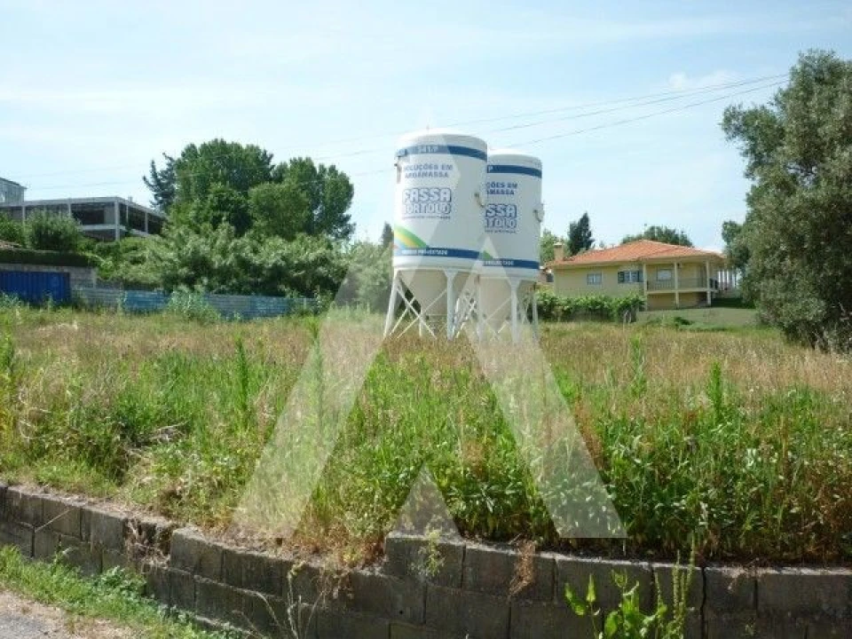 Terreno para Venda em Oliveira do Bairro Foto 3