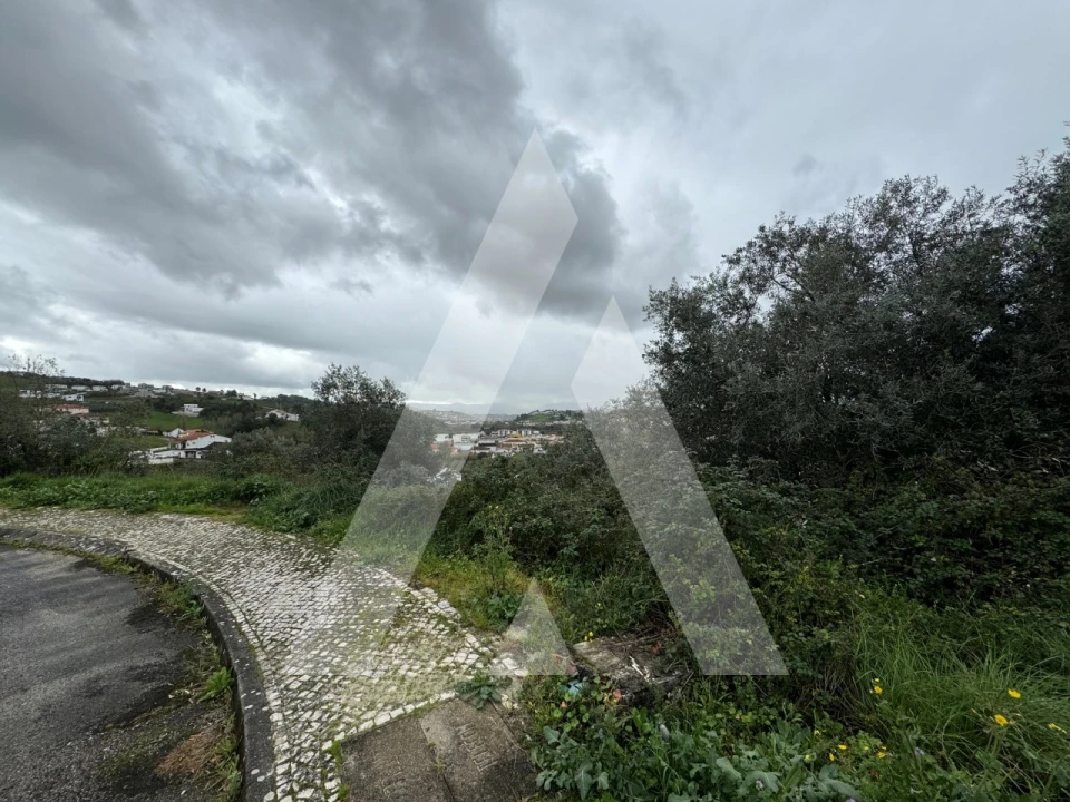 Terreno para Venda em Batalha Foto 2