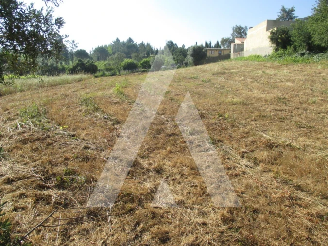Terreno para Venda em Arcos e Mogofores Foto 3