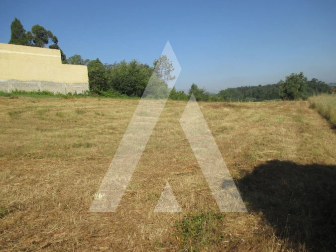 Terreno para Venda em Arcos e Mogofores Foto 5