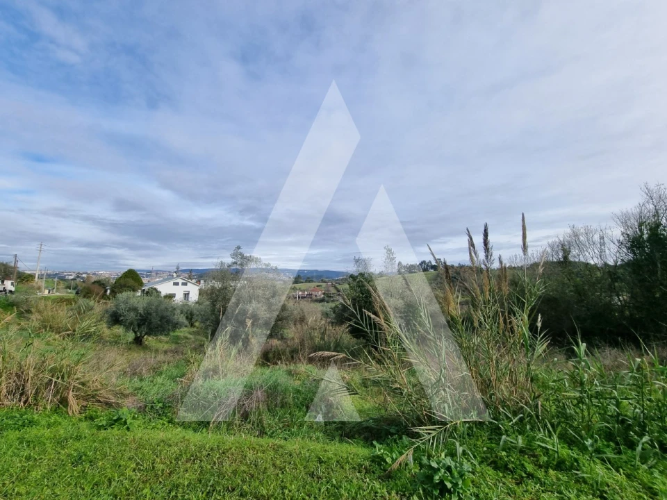 Terreno para Venda em Santa Clara e Castelo Viegas Foto 13