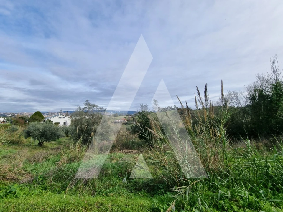 Terreno para Venda em Santa Clara e Castelo Viegas Foto 16