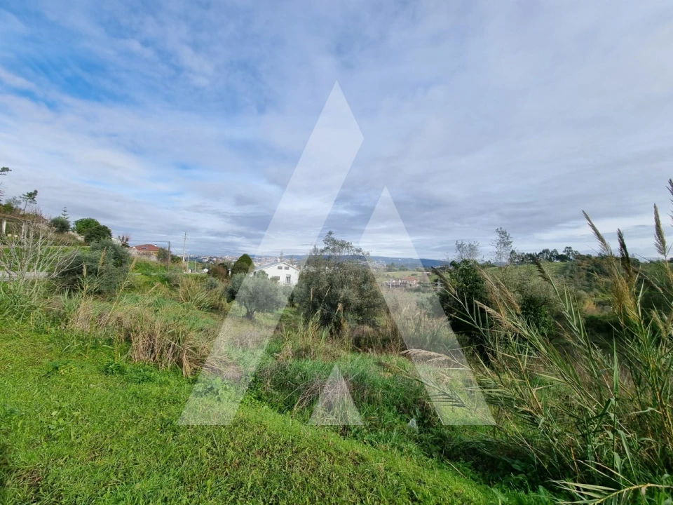 Terreno para Venda em Santa Clara e Castelo Viegas Foto 17