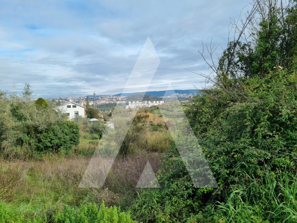 Terreno para Venda em Santa Clara e Castelo Viegas Foto 12