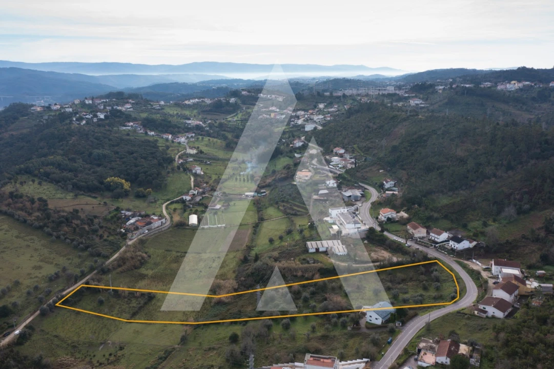 Terreno para Venda em Santa Clara e Castelo Viegas Foto 1