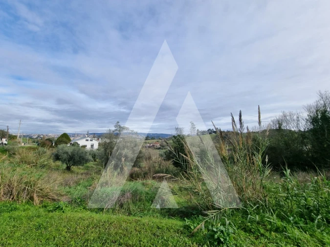 Terreno para Venda em Santa Clara e Castelo Viegas Foto 13