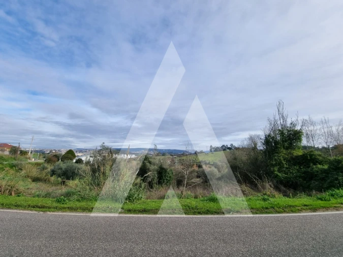 Terreno para Venda em Santa Clara e Castelo Viegas Foto 14