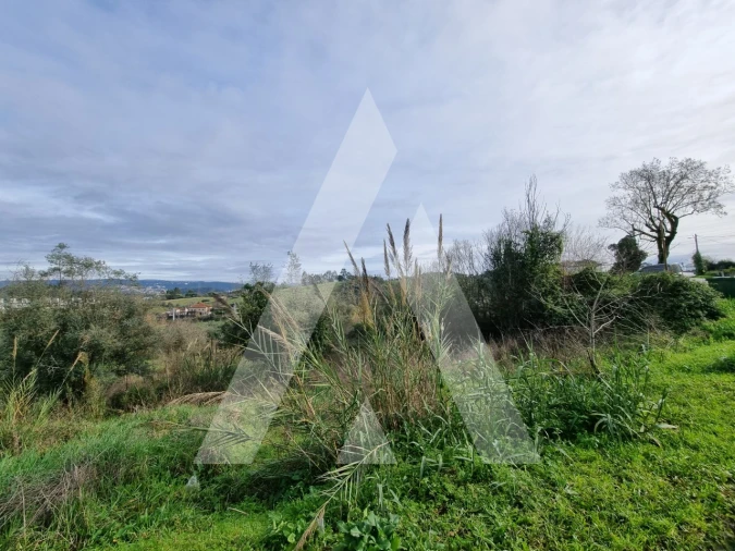 Terreno para Venda em Santa Clara e Castelo Viegas Foto 15