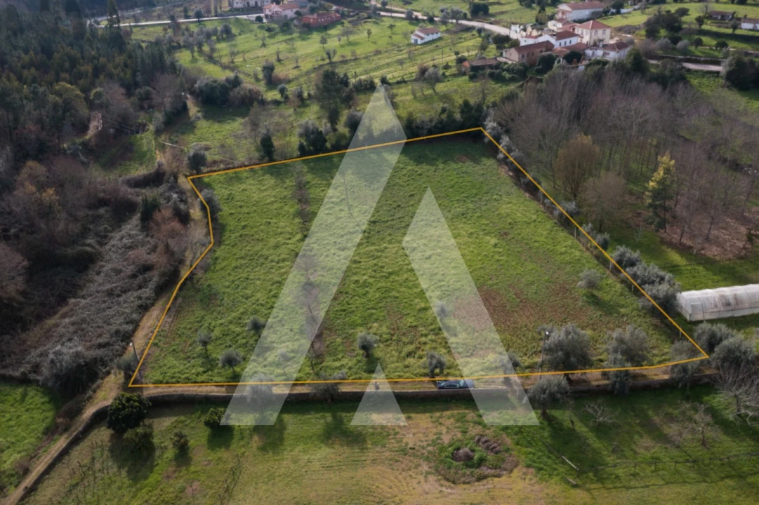 Terreno para Venda em Arrifana Foto 3