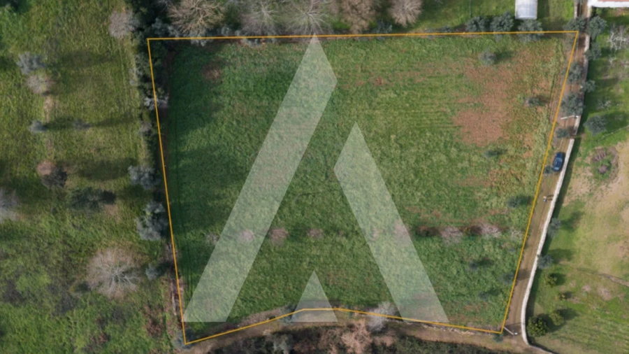 Terreno para Venda em Arrifana
