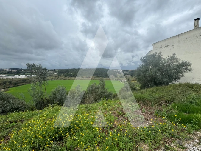 Terreno para Venda em Batalha Foto 4