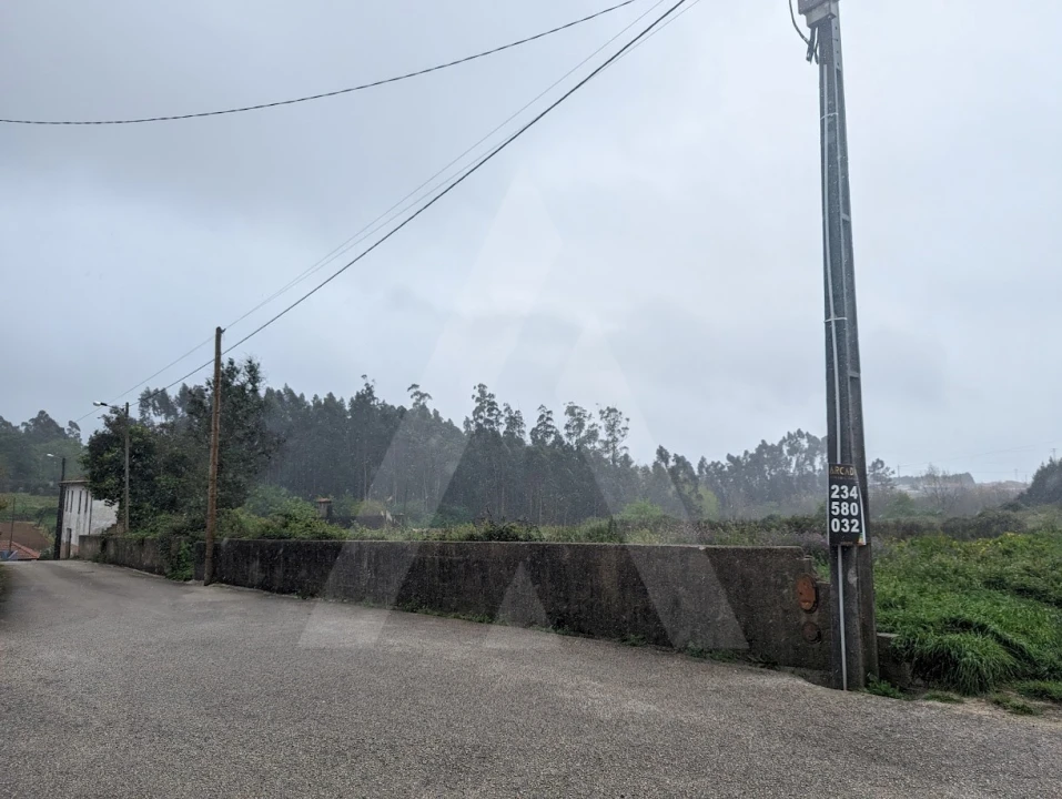 Terreno para Venda em Albergaria-A-Velha e Valmaior Foto 11