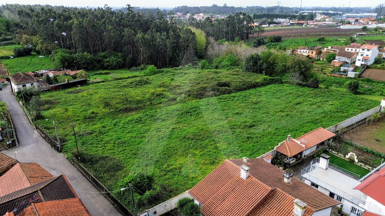 Terreno para Venda em Albergaria-A-Velha e Valmaior Foto 3