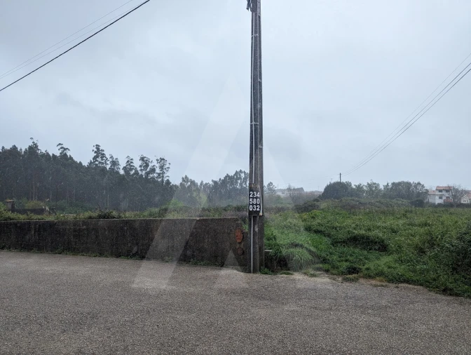 Terreno para Venda em Albergaria-A-Velha e Valmaior Foto 9