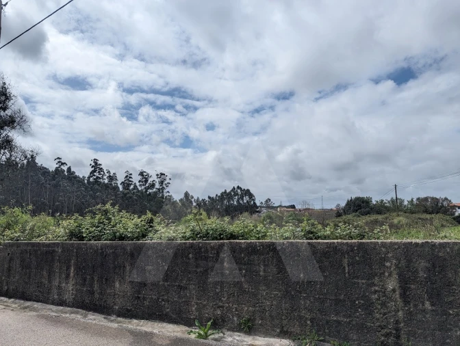 Terreno para Venda em Albergaria-A-Velha e Valmaior Foto 8