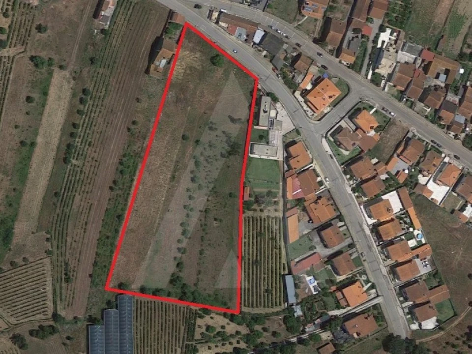 Terreno para Venda em Mealhada, Ventosa do Bairro e Antes Foto 10