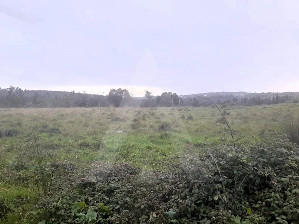 Terreno para Venda em Mealhada, Ventosa do Bairro e Antes Foto 1