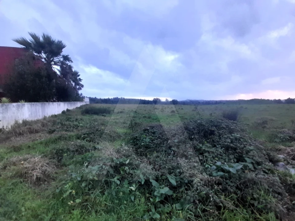 Terreno para Venda em Mealhada, Ventosa do Bairro e Antes Foto 2