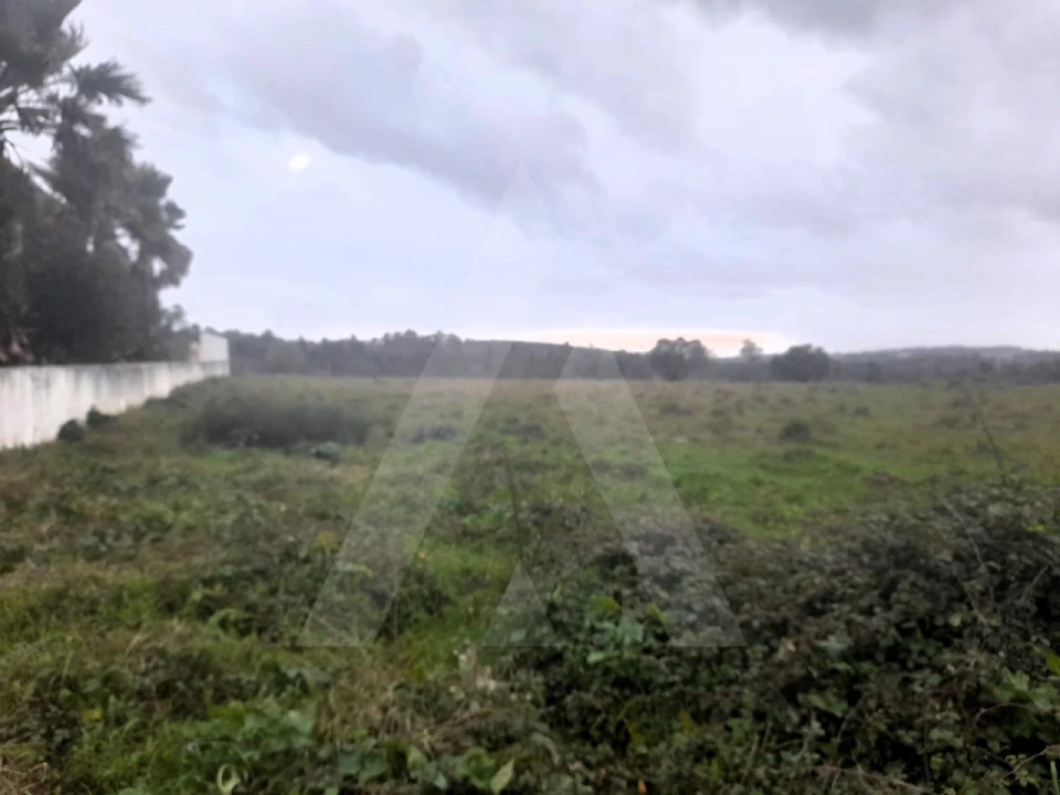 Terreno para Venda em Mealhada, Ventosa do Bairro e Antes Foto 4