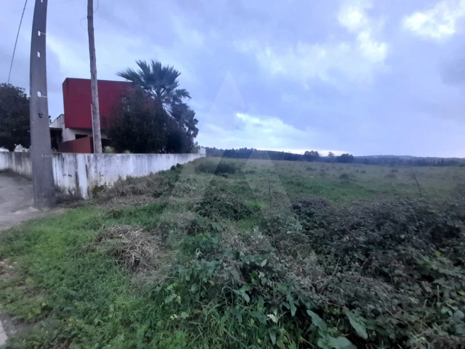 Terreno para Venda em Mealhada, Ventosa do Bairro e Antes Foto 5